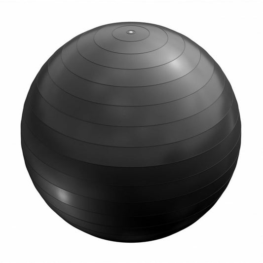 Ballon de fitness noir 55 cm avec pompe