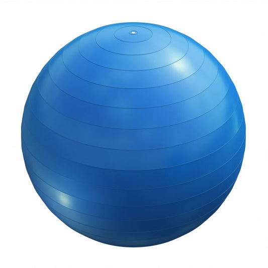 Ballon de fitness bleu 55 cm avec pompe