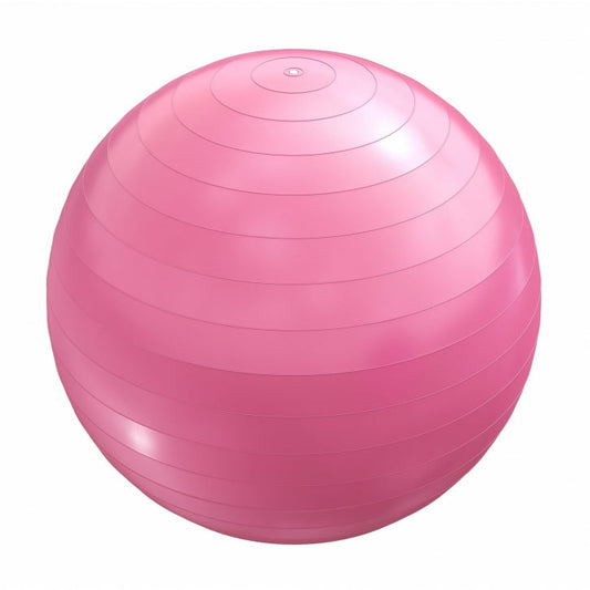 Ballon de fitness rose 65 cm avec pompe