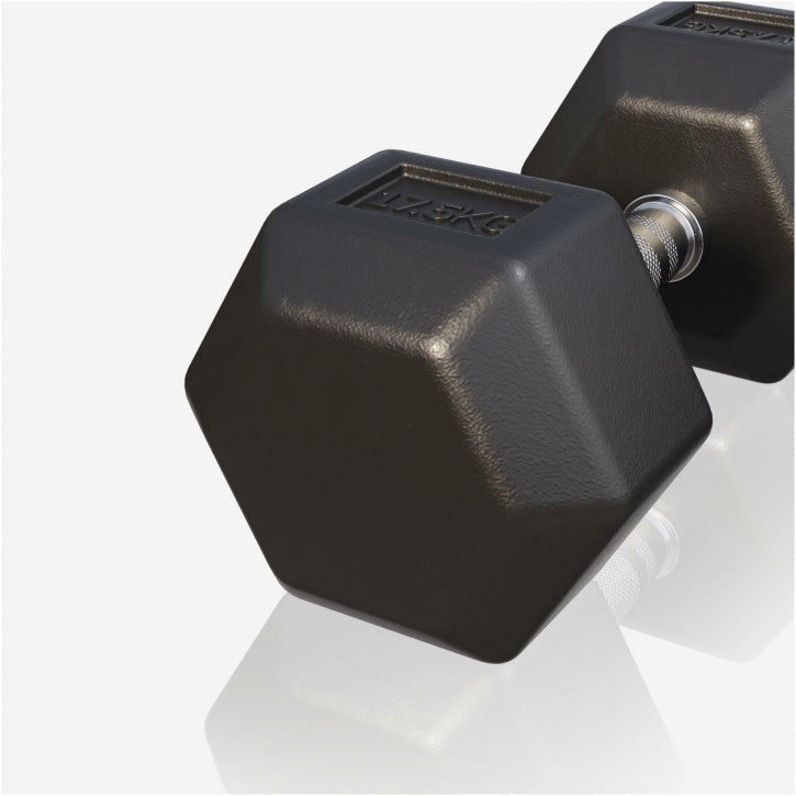 Dumbell hexagon 17,5 kg