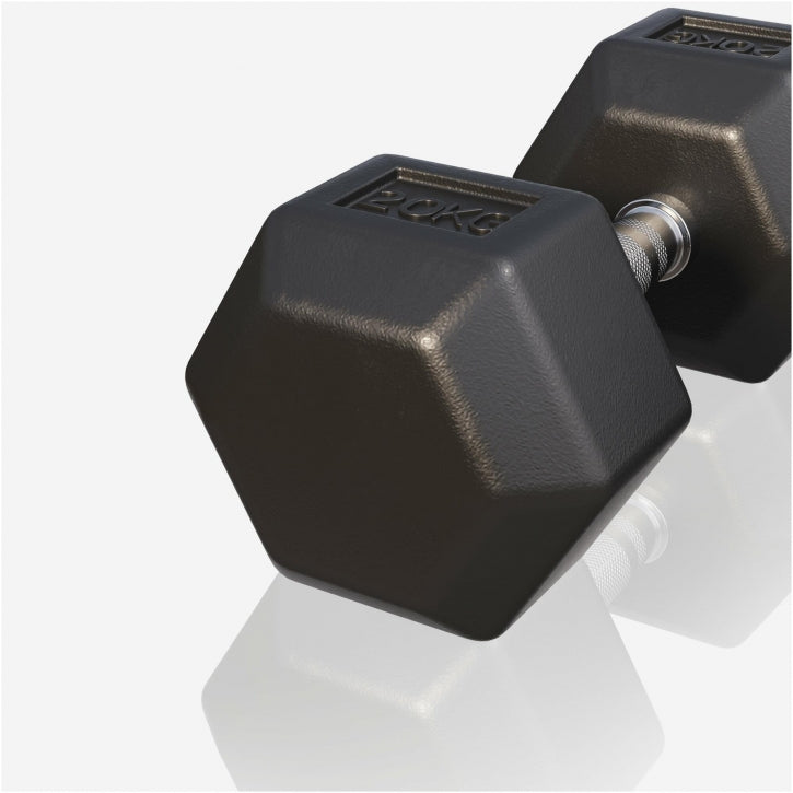 Dumbell hexagon 20 kg