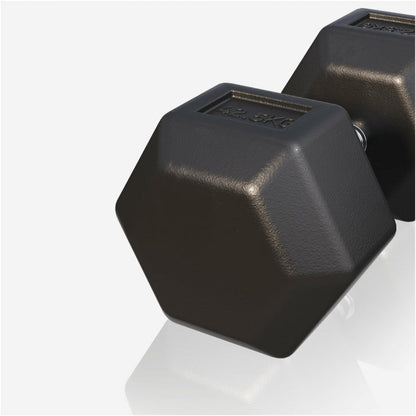 Dumbell hexagon 42,5 kg