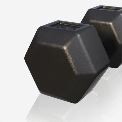 Dumbell hexagon 47,5 kg