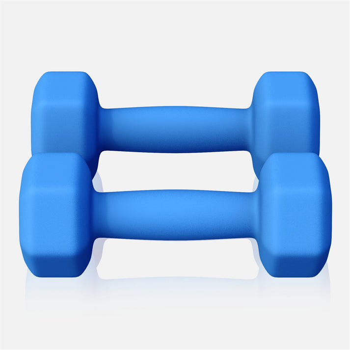 Vinyl halterset 2 x 2 kg