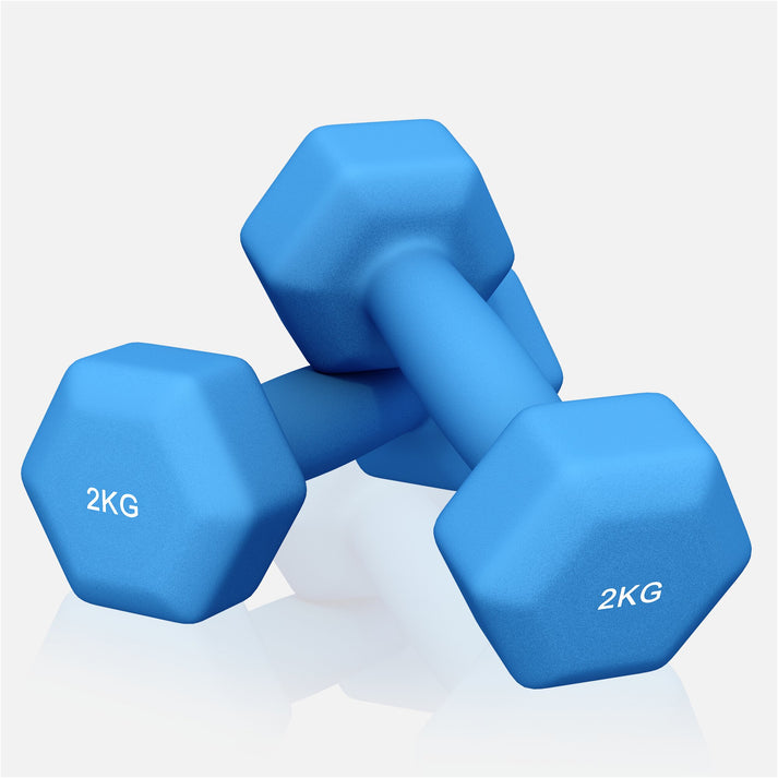 Vinyl halterset 2 x 2 kg