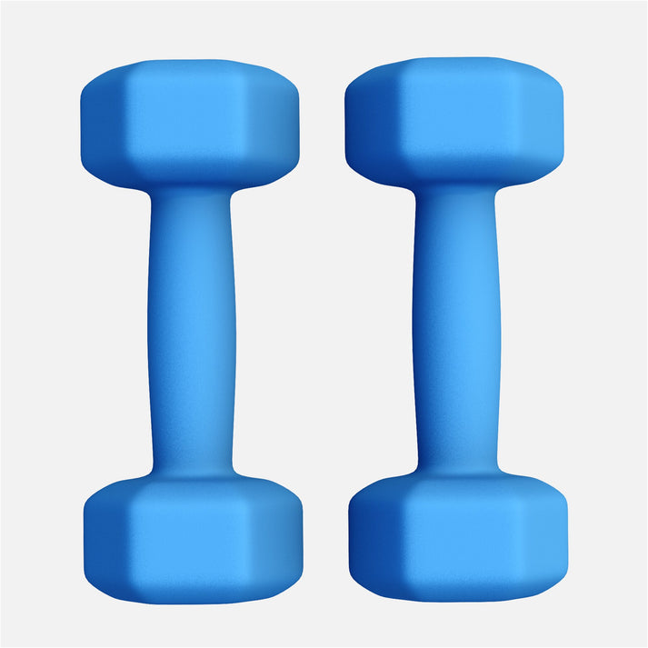 Vinyl halterset 2 x 2 kg