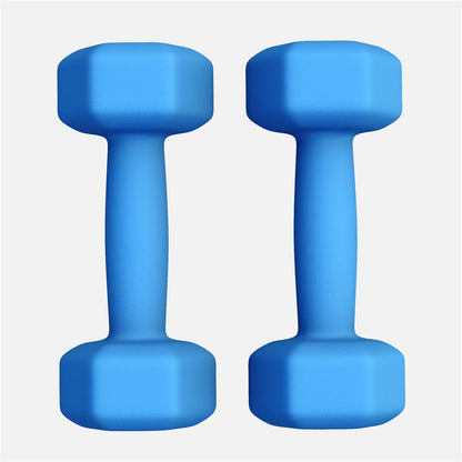 Vinyl halterset 2 x 2 kg