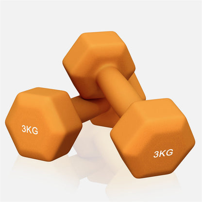 Vinyl halterset 2 x 3 kg