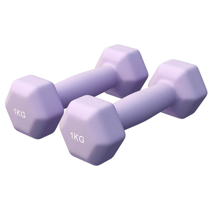 Vinyl halterset 2 x 1 kg