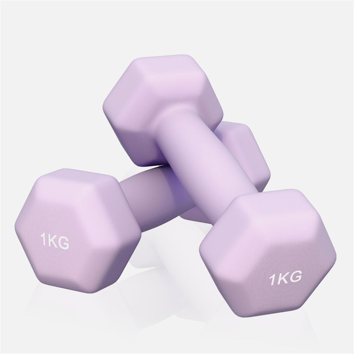 Vinyl halterset 2 x 1 kg