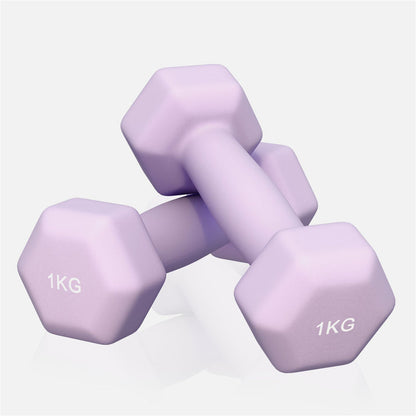 Vinyl halterset 2 x 1 kg