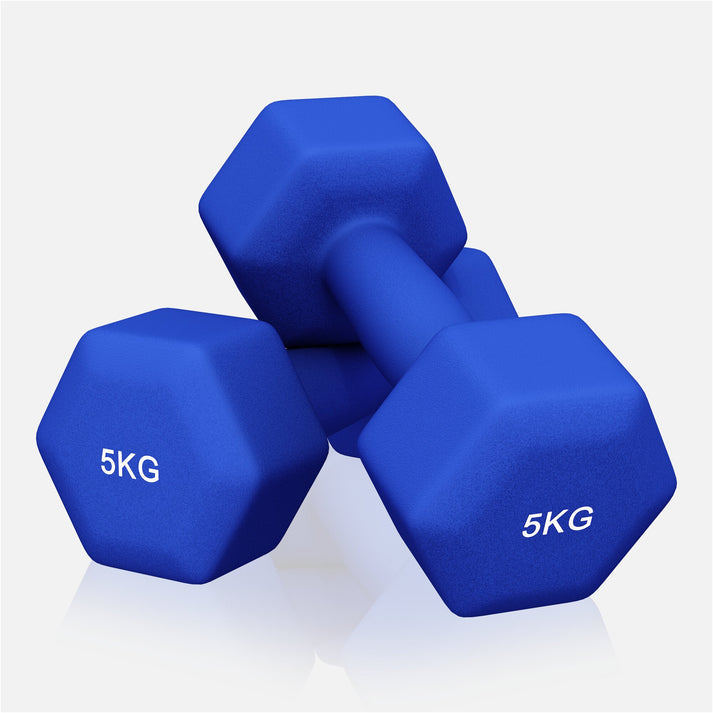 Vinyl halterset 2 x 5 kg