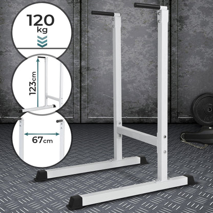 Barres à dips et parallettes Physionics