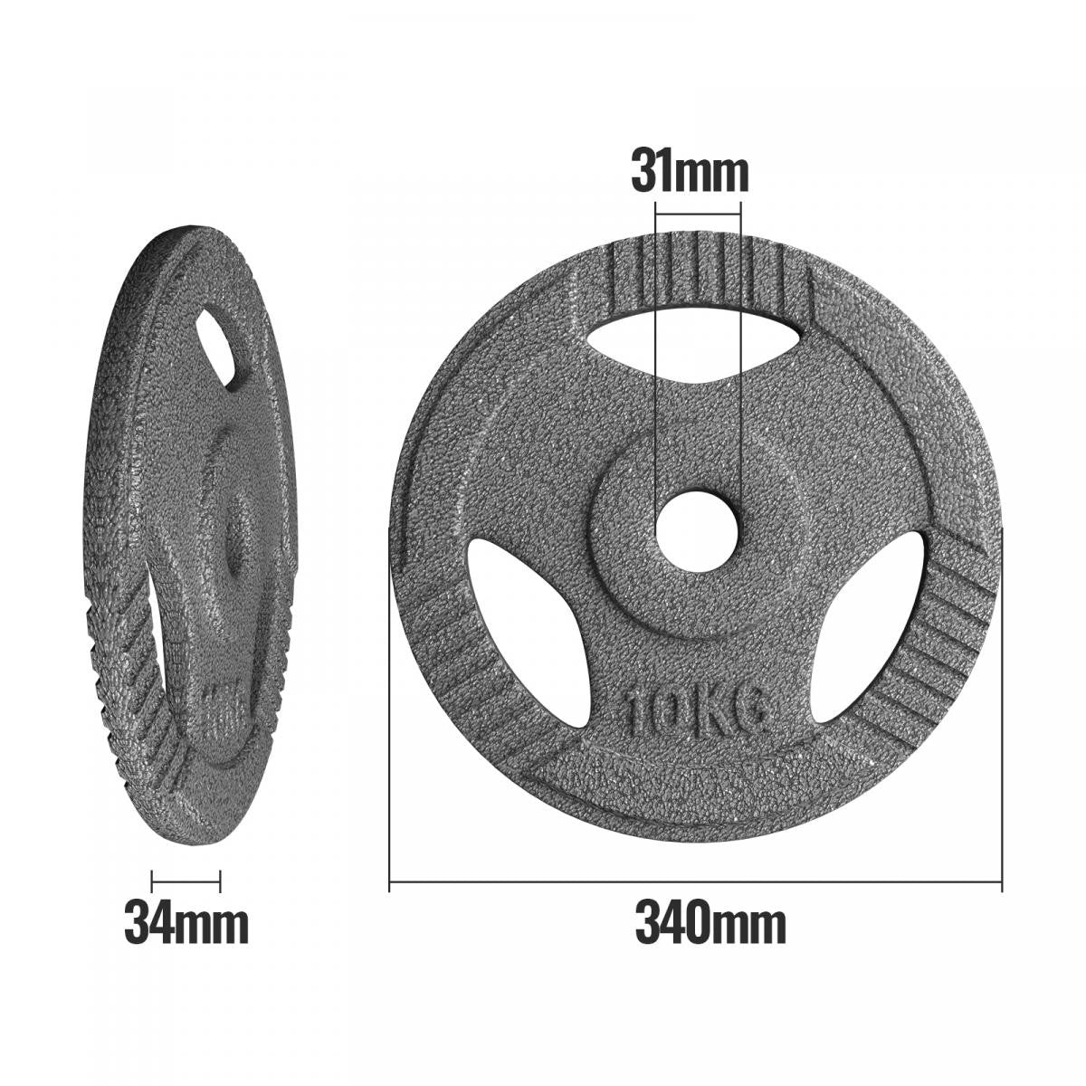 Physionics Halterschijven set 40 kg - 4 x 10 kg - Gietijzer - 30 mm