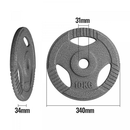 Physionics Halterschijven set 40 kg - 4 x 10 kg - Gietijzer - 30 mm