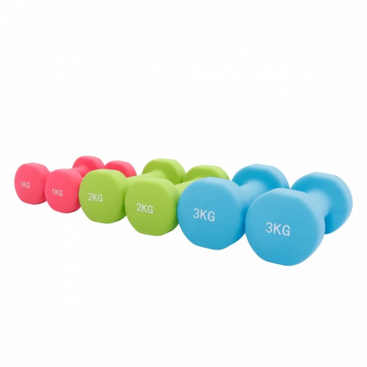 Aerobic Halterkoffer 12 kg