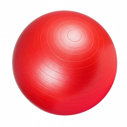 Fitnessbal Rood 55 cm incl. pomp