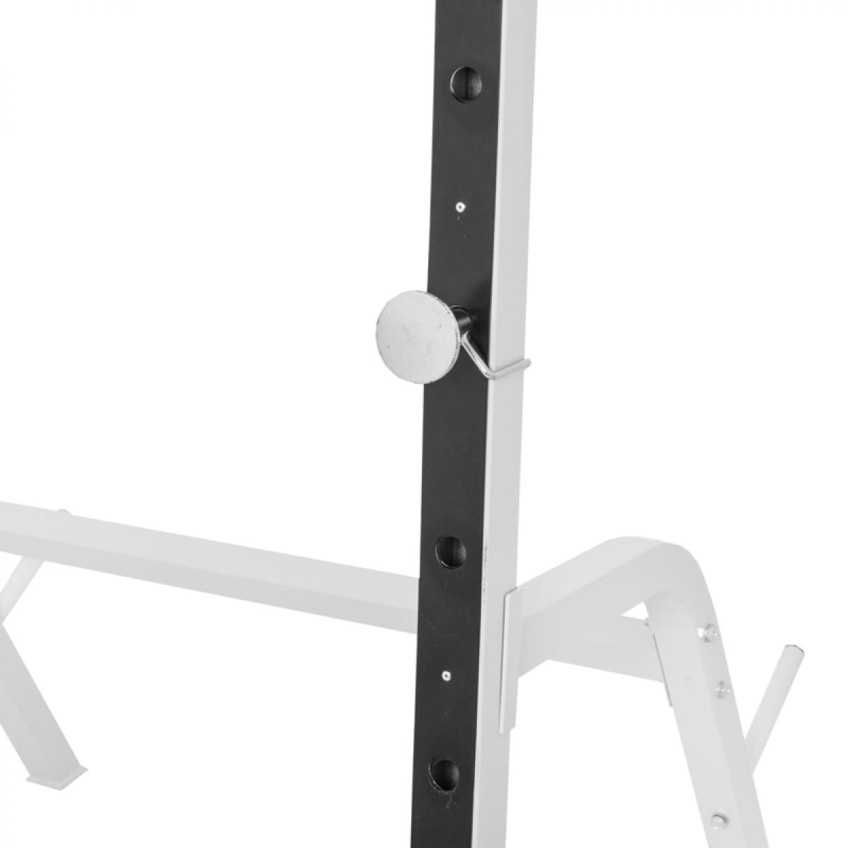 Halterbank / Squat Rack 