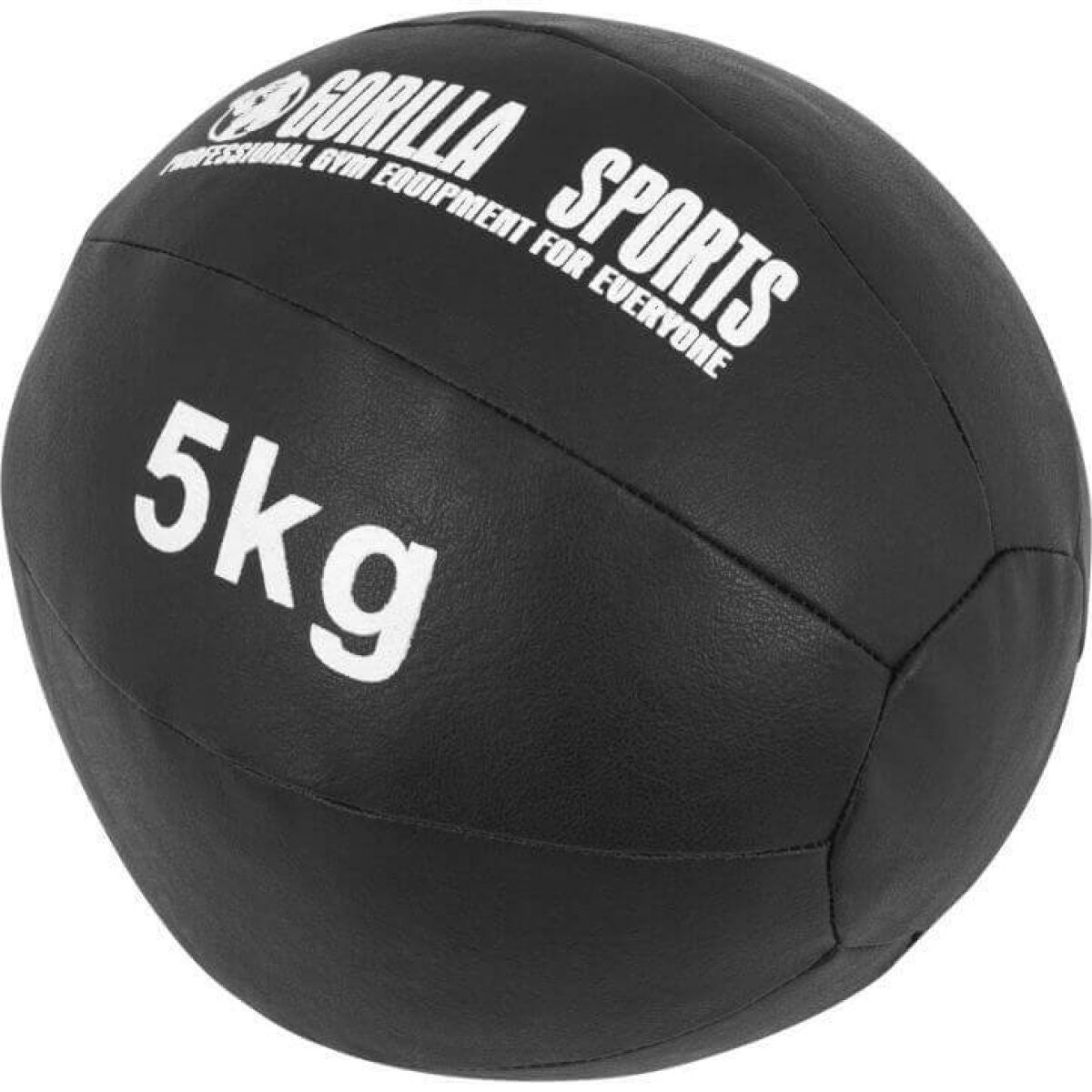 Medicine Ball Leer 5 kg