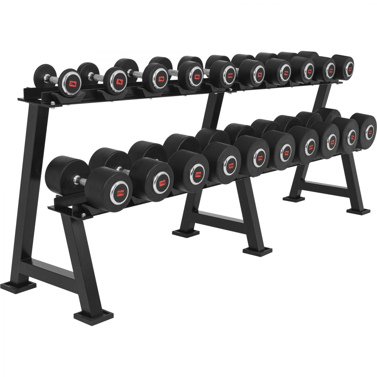 Professioneel Dumbell Rack 