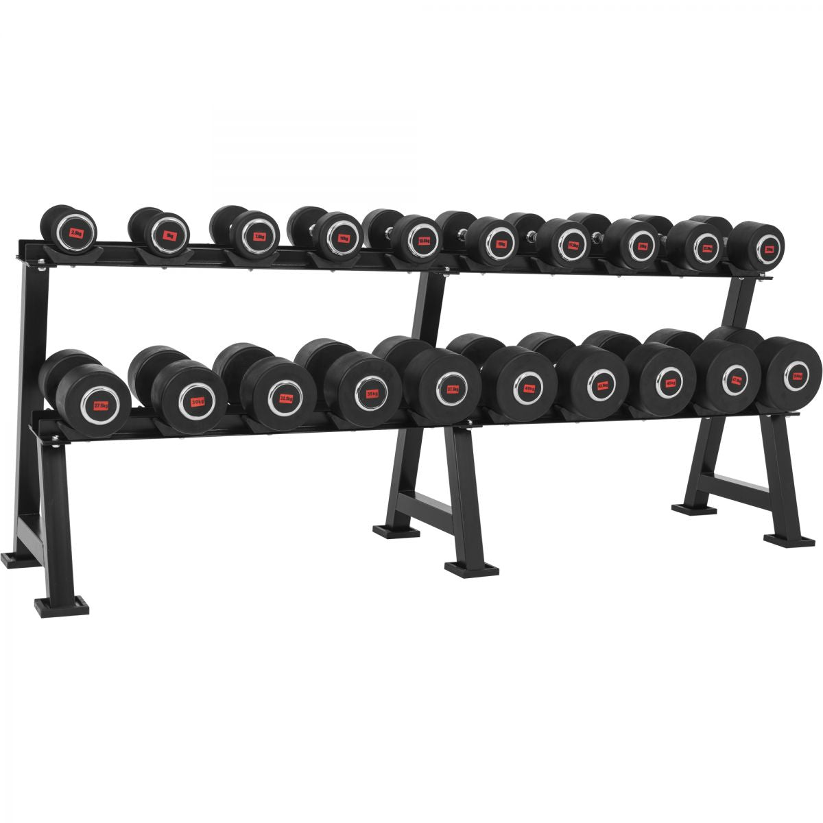 Professioneel Dumbell Rack 