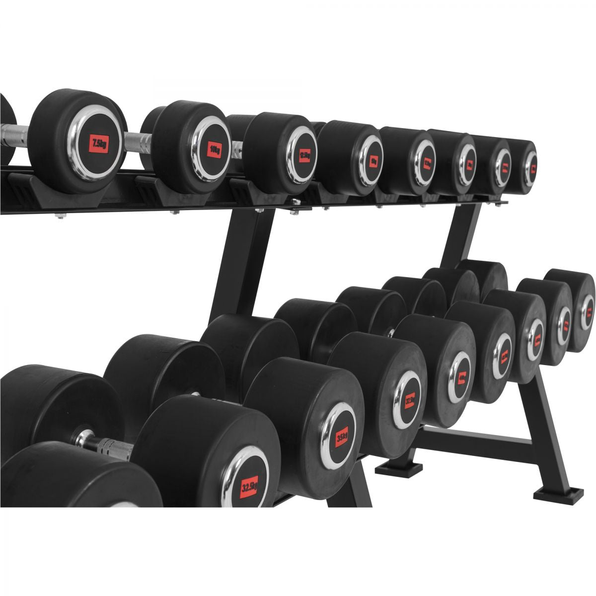 Professioneel Dumbell Rack 